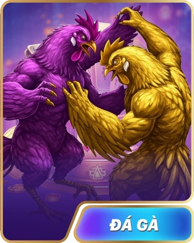 dg