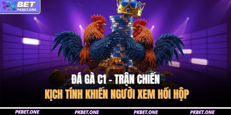 Đá gà c1