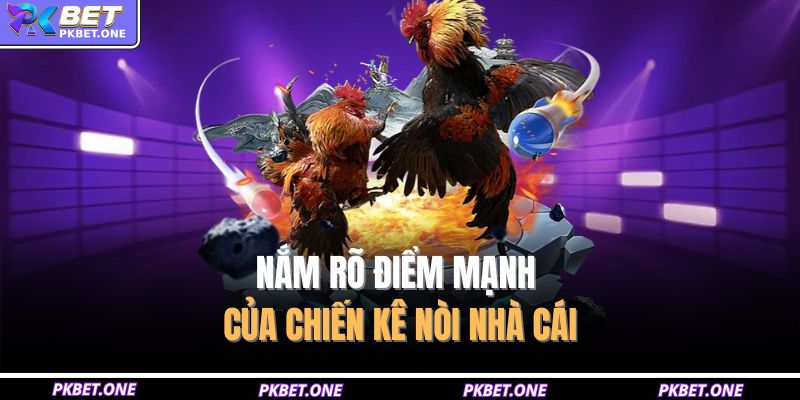 Nắm rõ điểm mạnh của chiến kê nòi nhà cái